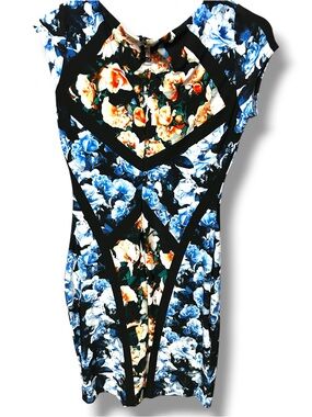 Cache Black Floral Sheath Dress with Blue and Orange Blooms
